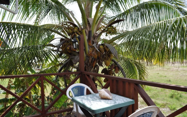 White Coconut Studio