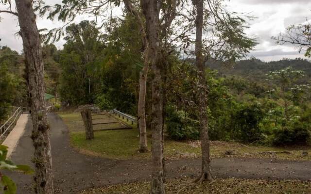 Arecibo Observatory Vsq