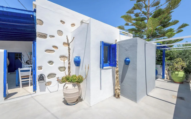 Mediterranea Blu