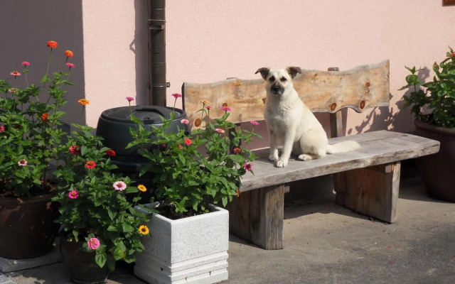 FeWo in der Weinleiten