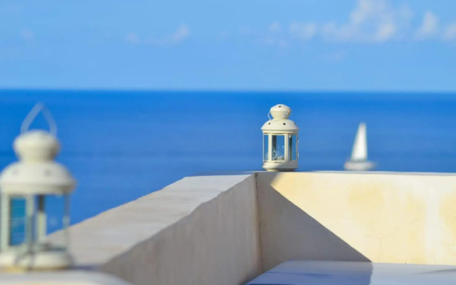 Radyshams Dammusi Le Palme & Bait