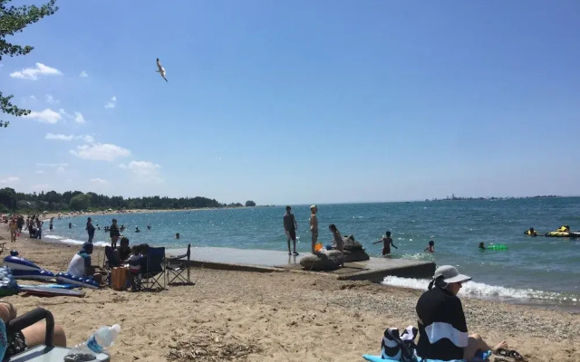 The Shores