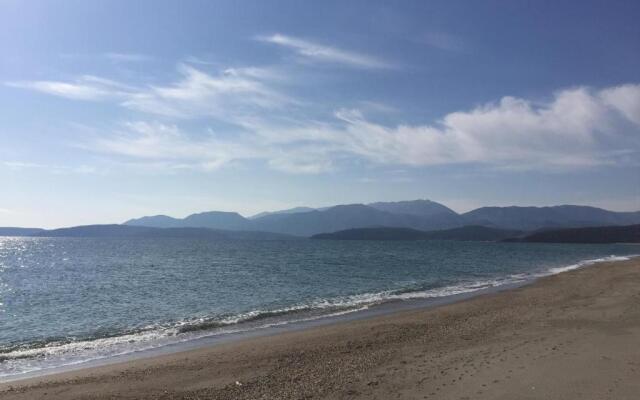 Elaianthos 2