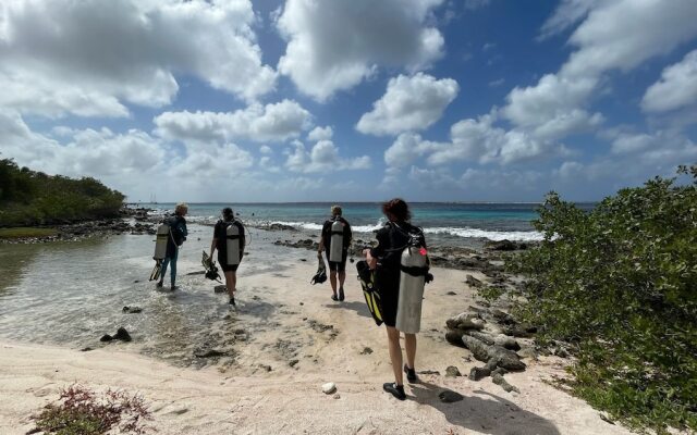 Hakuna Matata Bonaire