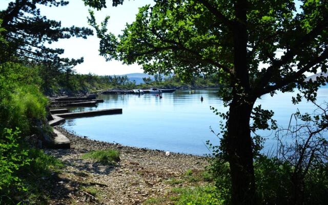 Apartment Knežević 2