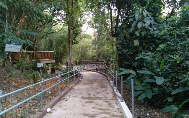 parque das cachoeira chale 2