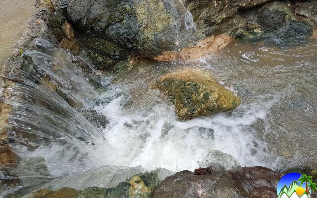 Zen Tierras Farm powered by Cocotel