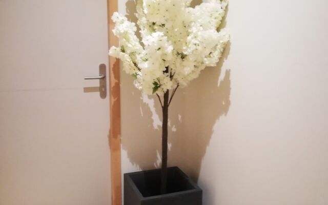 Hotel du Rhone Seyssel