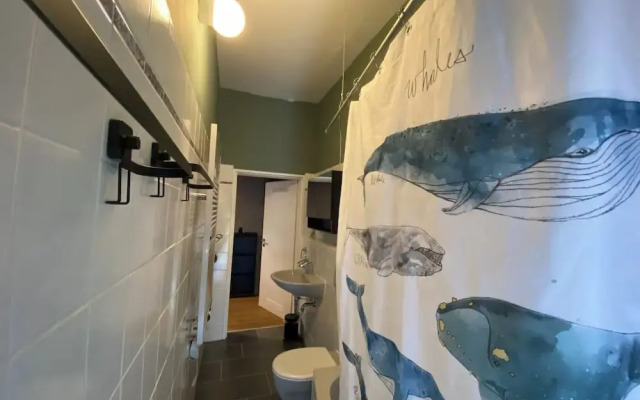 Room-spacious Room in Coliving Apartment
