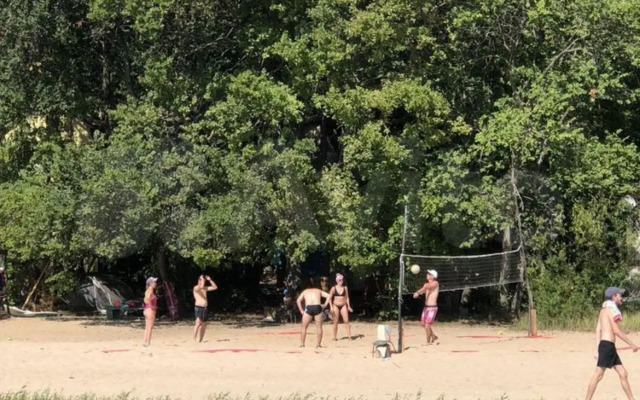 Барн-хаус Лесной