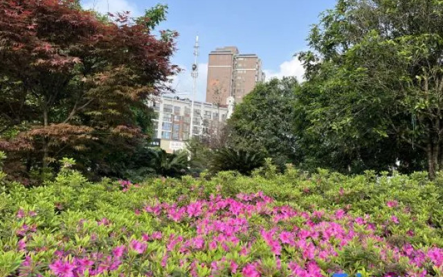 Yipin International Hotel (County Government Affairs Center)