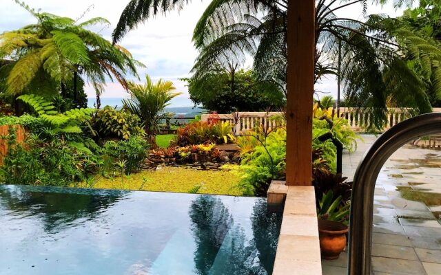 Rainforest Inn