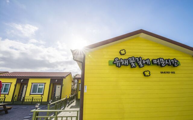 Brassica Flower Pension