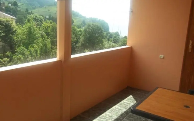 Temo's Guesthouse
