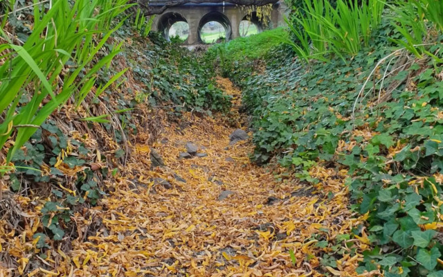 Angaston by the Winter Creek