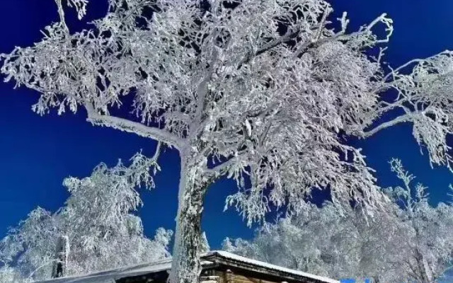 Liu family compound in Snow Valley
