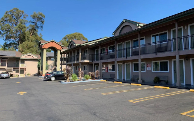 Olive Tree inn & Suites