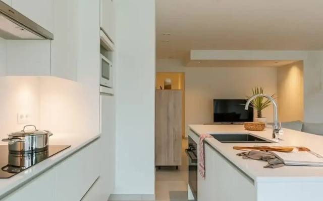 New and Modern Apartment in Nieuwpoort With Terrace