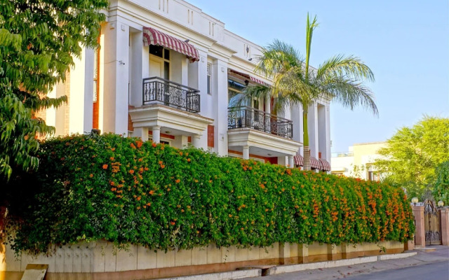 Palm34