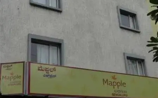 Mapple Express