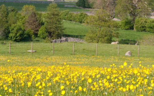 Farfield