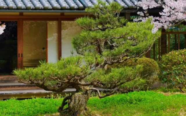 Oukai Villa Izumi