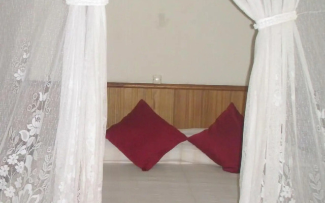 Rimba Orangutan Eco Lodge