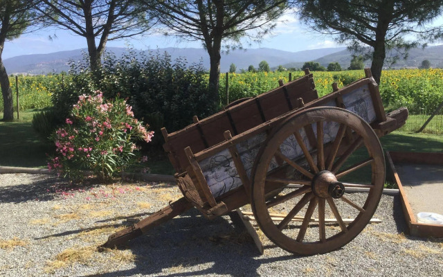 Agriturismo Terra di Cortona