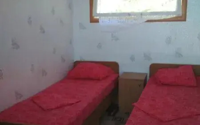 Pod palmoj