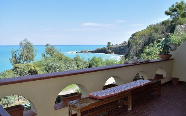 Saracena View