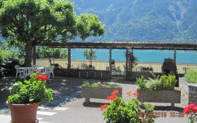 The Hotel Alpina