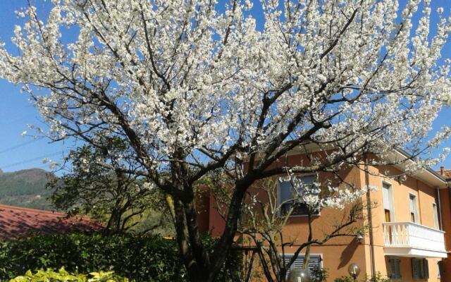Il Giardino di Patrizia
