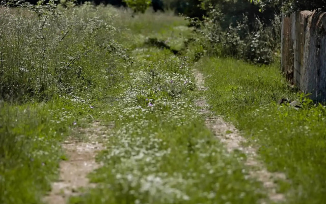 Señorío de Los Bazán