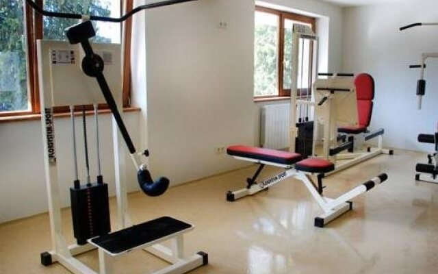 Hohe Rinne Paltinis Hotel & Spa