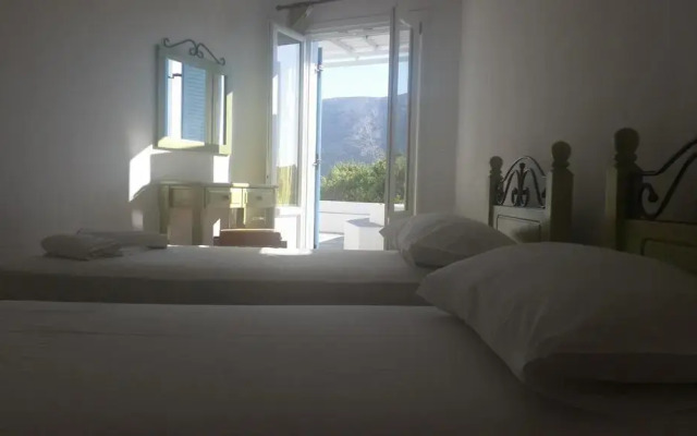 Sofia's Studios