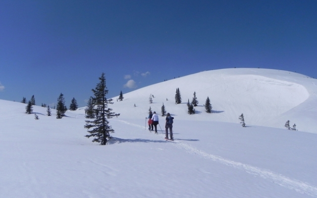 Wander-Vitalhotel Steirerhof