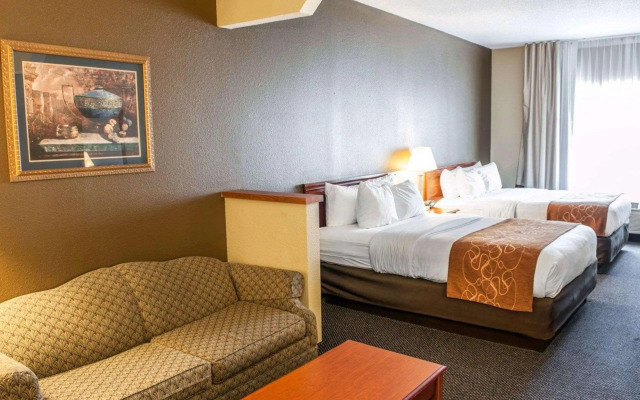 Comfort Suites Auburn near I-69