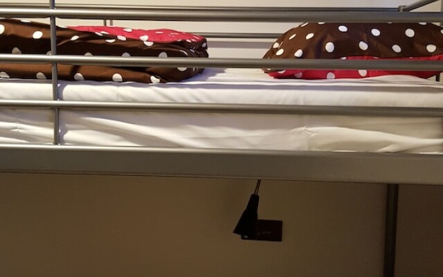 Chocolate hostel