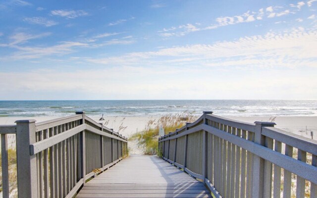 Sharp Reef #4 - Endless Summer