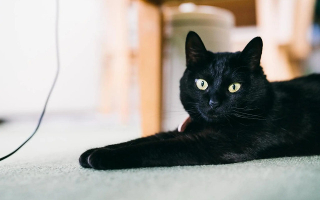 Otaru - House / Vacation STAY 57190