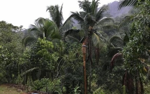 Sinharaja Rainforest View Villas