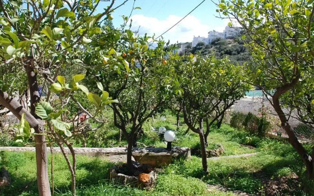 Relaxing Studio With Veranda 'n Garden