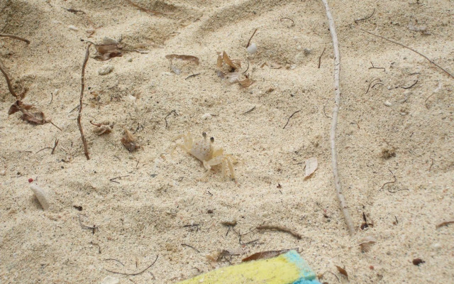 Virgin Islands Campground
