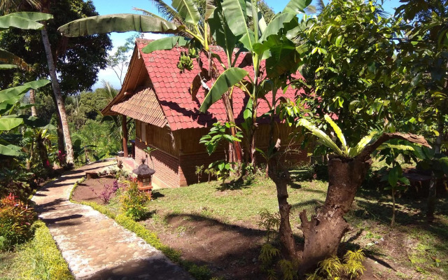 Bali mountain forest cabin