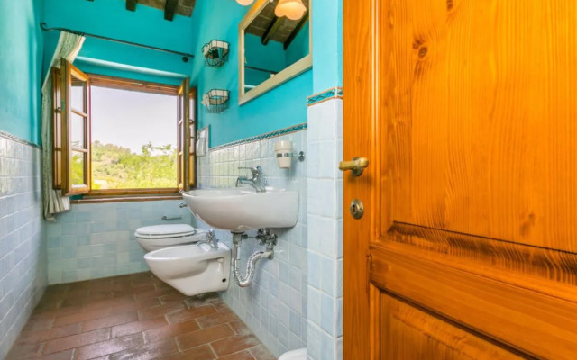 Il Cipresso (CTF122)