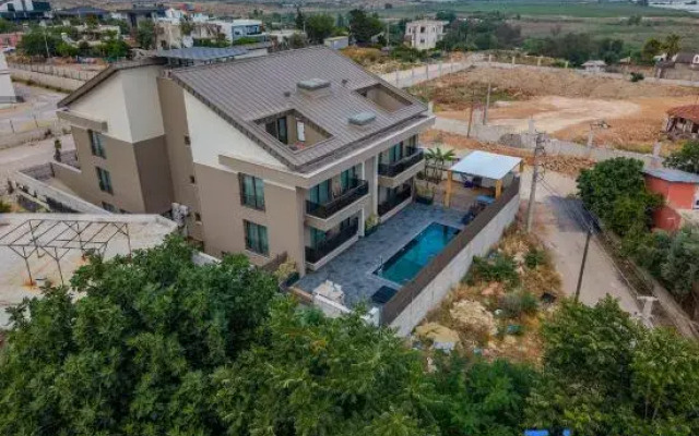 Moon Shine - Adults Only 12 Plus