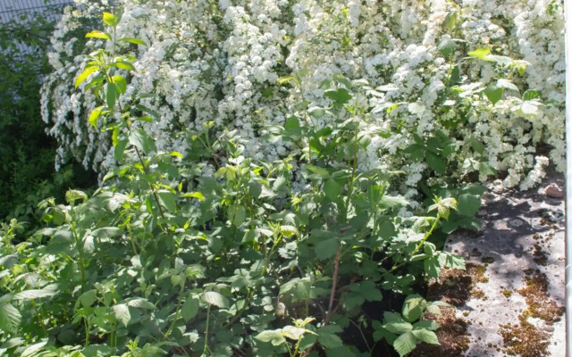 Wonderful Apartment With Great Location