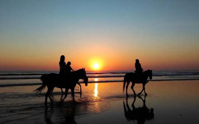 Las Catalinas Loft 22