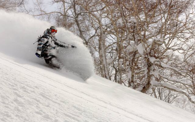 Mountain Hut Myoko