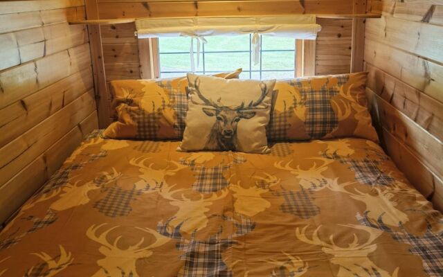 Cozy Cabin With Hot Tub Retreat in Anglesey